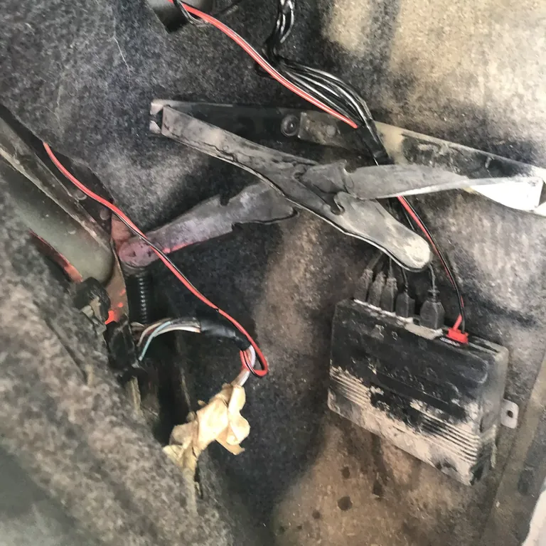 Rear-light wiring and parking-sensor module.